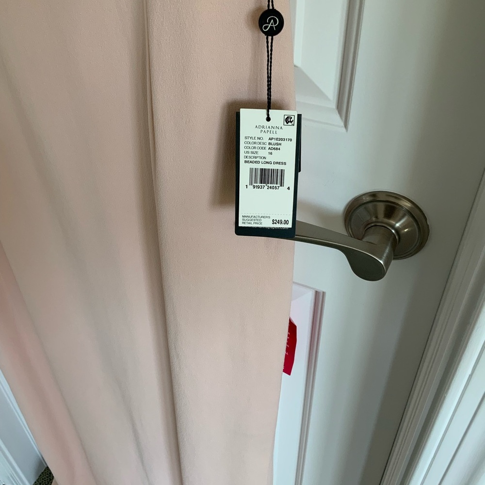 Adrianna Papell Blush Long Dress